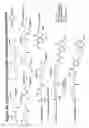 Fig. 46 - RNA interference mediated inhibition of gene expression using chemically modified short interfering nucleic acid (siNA)