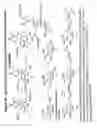 Fig. 47 - RNA interference mediated inhibition of gene expression using chemically modified short interfering nucleic acid (siNA)
