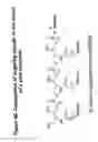 Fig. 49 - RNA interference mediated inhibition of gene expression using chemically modified short interfering nucleic acid (siNA)
