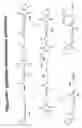 Fig. 50 - RNA interference mediated inhibition of gene expression using chemically modified short interfering nucleic acid (siNA)