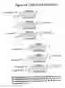 Fig. 62 - RNA interference mediated inhibition of gene expression using chemically modified short interfering nucleic acid (siNA)