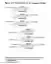 Fig. 66 - RNA interference mediated inhibition of gene expression using chemically modified short interfering nucleic acid (siNA)