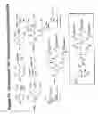 Fig. 71 - RNA interference mediated inhibition of gene expression using chemically modified short interfering nucleic acid (siNA)