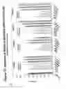 Fig. 80 - RNA interference mediated inhibition of gene expression using chemically modified short interfering nucleic acid (siNA)