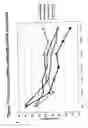 Fig. 83 - RNA interference mediated inhibition of gene expression using chemically modified short interfering nucleic acid (siNA)