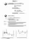 Fig. 02 - RNA interference mediated inhibition of gene expression using chemically modified short interfering nucleic acid (siNA)