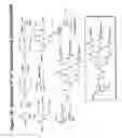 Fig. 71 - RNA interference mediated inhibition of gene expression using chemically modified short interfering nucleic acid (siNA)