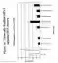 Fig. 37 - RNA interference mediated inhibition of gene expression using chemically modified short interfering nucleic acid (siNA)