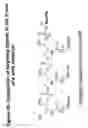 Fig. 49 - RNA interference mediated inhibition of gene expression using chemically modified short interfering nucleic acid (siNA)