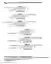 Fig. 64 - RNA interference mediated inhibition of gene expression using chemically modified short interfering nucleic acid (siNA)