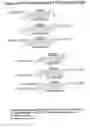 Fig. 66 - RNA interference mediated inhibition of gene expression using chemically modified short interfering nucleic acid (siNA)