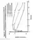 Fig. 68 - RNA interference mediated inhibition of gene expression using chemically modified short interfering nucleic acid (siNA)