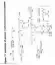 Fig. 72 - RNA interference mediated inhibition of gene expression using chemically modified short interfering nucleic acid (siNA)