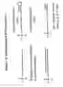 Fig. 75 - RNA interference mediated inhibition of gene expression using chemically modified short interfering nucleic acid (siNA)