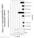 Fig. 37 - RNA interference mediated inhibition of gene expression using chemically modified short interfering nucleic acid (siNA)