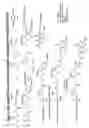 Fig. 46 - RNA interference mediated inhibition of gene expression using chemically modified short interfering nucleic acid (siNA)