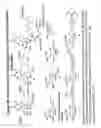 Fig. 47 - RNA interference mediated inhibition of gene expression using chemically modified short interfering nucleic acid (siNA)
