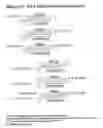 Fig. 64 - RNA interference mediated inhibition of gene expression using chemically modified short interfering nucleic acid (siNA)