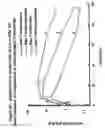 Fig. 68 - RNA interference mediated inhibition of gene expression using chemically modified short interfering nucleic acid (siNA)