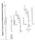 Fig. 74 - RNA interference mediated inhibition of gene expression using chemically modified short interfering nucleic acid (siNA)