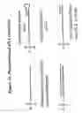 Fig. 75 - RNA interference mediated inhibition of gene expression using chemically modified short interfering nucleic acid (siNA)