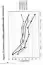 Fig. 83 - RNA interference mediated inhibition of gene expression using chemically modified short interfering nucleic acid (siNA)