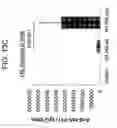 Fig. 17 - Influenza nucleic acids, polypeptides, and uses thereof