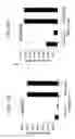 Fig. 22 - Influenza nucleic acids, polypeptides, and uses thereof