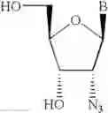 Fig. 16 - Antisense oligonucleotide modulation of STAT3 expression