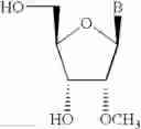 Fig. 17 - Antisense oligonucleotide modulation of STAT3 expression