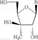 Fig. 19 - Antisense oligonucleotide modulation of STAT3 expression