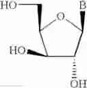 Fig. 23 - Antisense oligonucleotide modulation of STAT3 expression