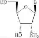 Fig. 31 - Antisense oligonucleotide modulation of STAT3 expression