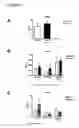 Fig. 10 - Methods and products for treating hypertension by modulation of TRPC3 channel activity