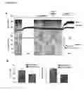 Fig. 15 - Methods and products for treating hypertension by modulation of TRPC3 channel activity