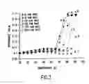 Fig. 05 - DNA vaccine formulations