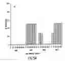 Fig. 07 - DNA vaccine formulations