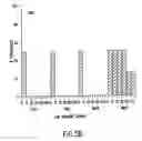 Fig. 08 - DNA vaccine formulations