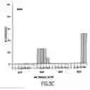 Fig. 09 - DNA vaccine formulations