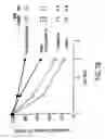 Fig. 11 - DNA vaccine formulations