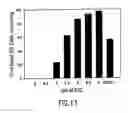 Fig. 17 - DNA vaccine formulations