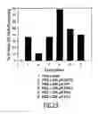 Fig. 27 - DNA vaccine formulations