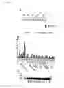 Fig. 06 - Oncogene, recombinant protein derived therefrom, and uses thereof