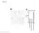 Fig. 09 - Oncogene, recombinant protein derived therefrom, and uses thereof