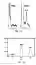 Fig. 03 - Therapeutic procedures