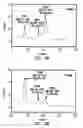 Fig. 06 - Therapeutic procedures