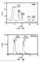 Fig. 09 - Therapeutic procedures