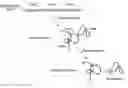 Fig. 01 - Methods and compositions for specific inhibition of protein splicing by small molecules