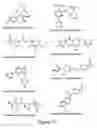 Fig. 10 - Methods and compositions for specific inhibition of protein splicing by small molecules