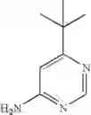 Fig. 112 - Phthalazine derivatives for treating inflammatory diseases